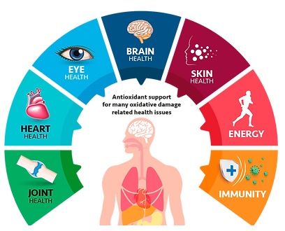 Zdravy svet superantioxidant popis graf